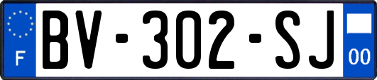 BV-302-SJ