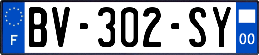 BV-302-SY