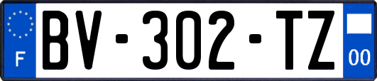 BV-302-TZ