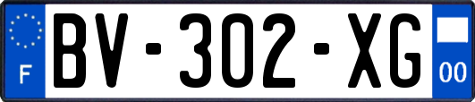 BV-302-XG