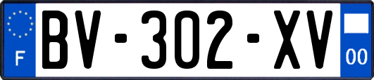 BV-302-XV