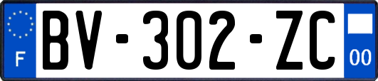 BV-302-ZC