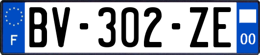 BV-302-ZE