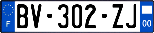 BV-302-ZJ