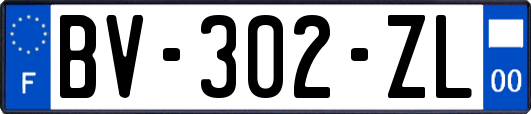 BV-302-ZL