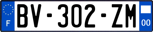 BV-302-ZM