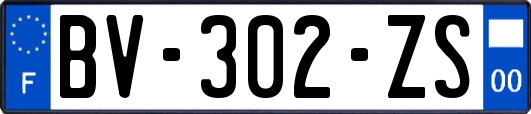 BV-302-ZS