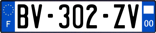 BV-302-ZV