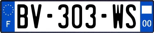 BV-303-WS