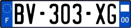 BV-303-XG