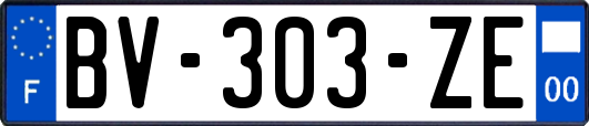 BV-303-ZE