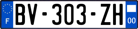 BV-303-ZH