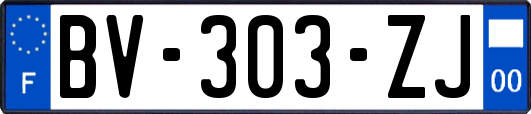 BV-303-ZJ