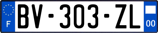 BV-303-ZL