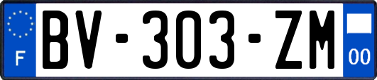 BV-303-ZM