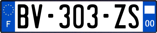 BV-303-ZS