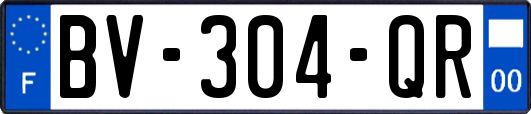 BV-304-QR