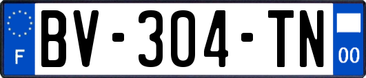 BV-304-TN