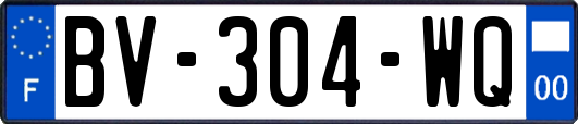 BV-304-WQ