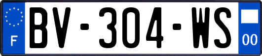 BV-304-WS