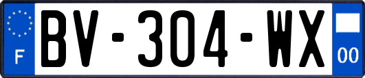 BV-304-WX