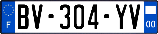 BV-304-YV