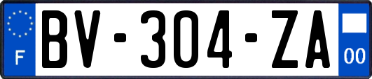 BV-304-ZA