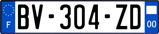 BV-304-ZD