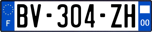 BV-304-ZH