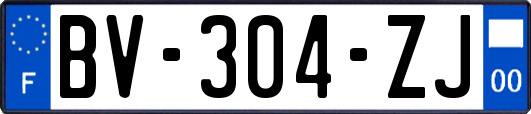 BV-304-ZJ