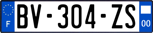 BV-304-ZS