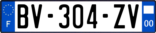 BV-304-ZV