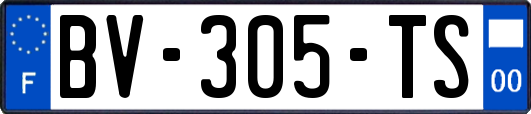 BV-305-TS