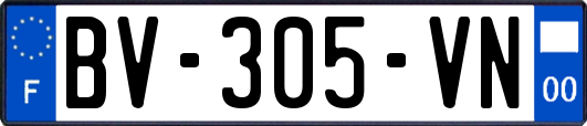 BV-305-VN