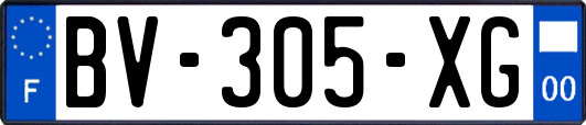 BV-305-XG