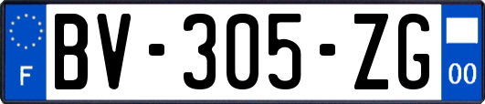 BV-305-ZG