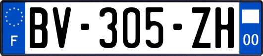 BV-305-ZH