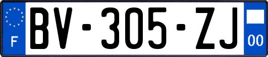 BV-305-ZJ