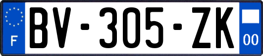 BV-305-ZK