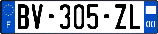 BV-305-ZL