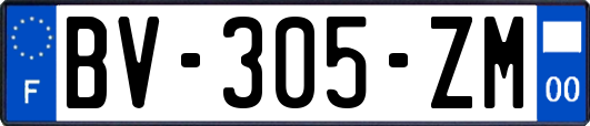 BV-305-ZM