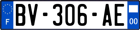 BV-306-AE