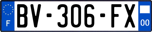 BV-306-FX
