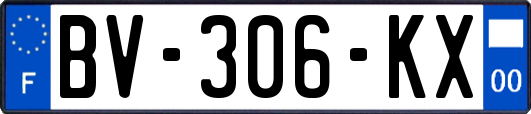 BV-306-KX