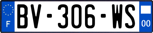 BV-306-WS