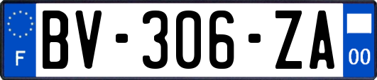 BV-306-ZA