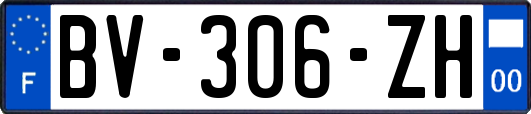 BV-306-ZH