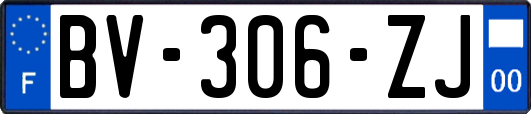 BV-306-ZJ