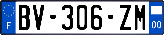 BV-306-ZM