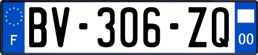 BV-306-ZQ